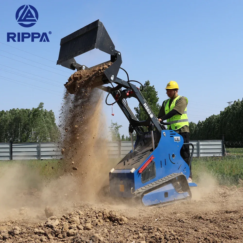 Rippa NDI625 / RS03, vista y detalle 6
