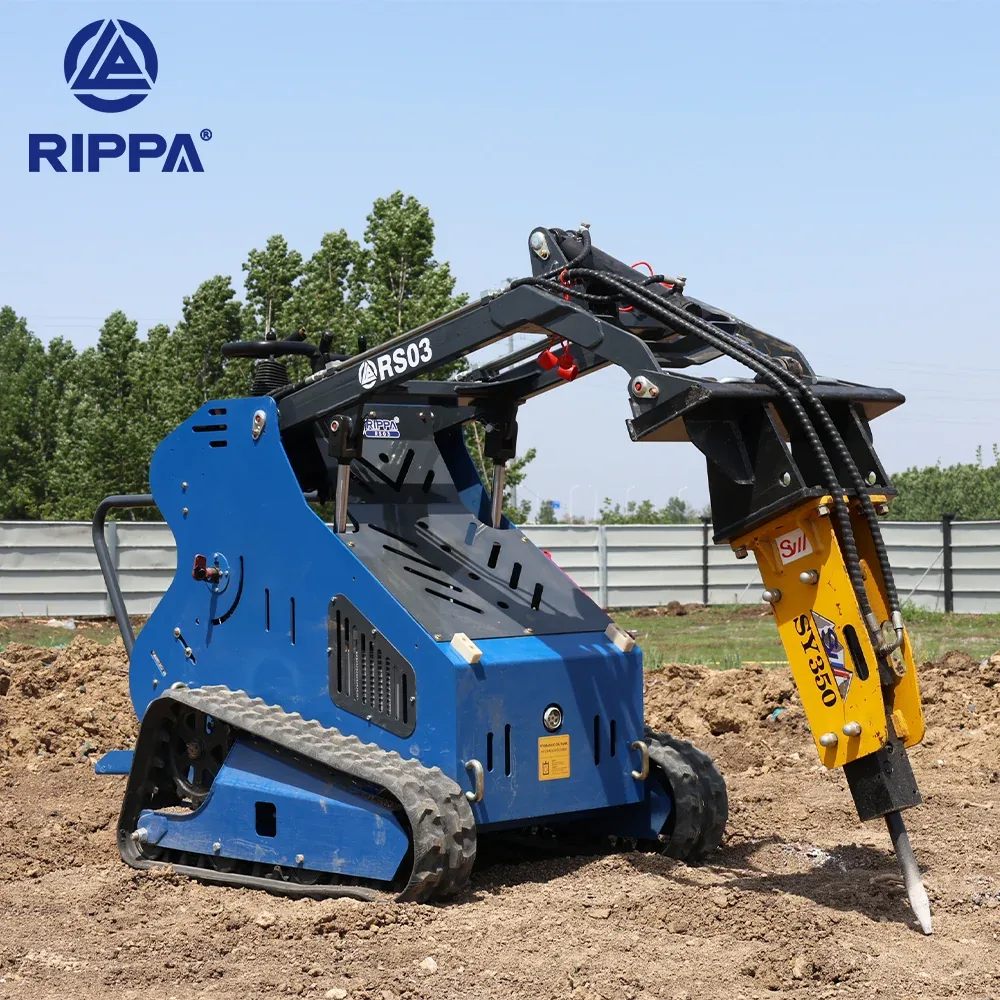 Rippa NDI625 / RS03, vista y detalle 11