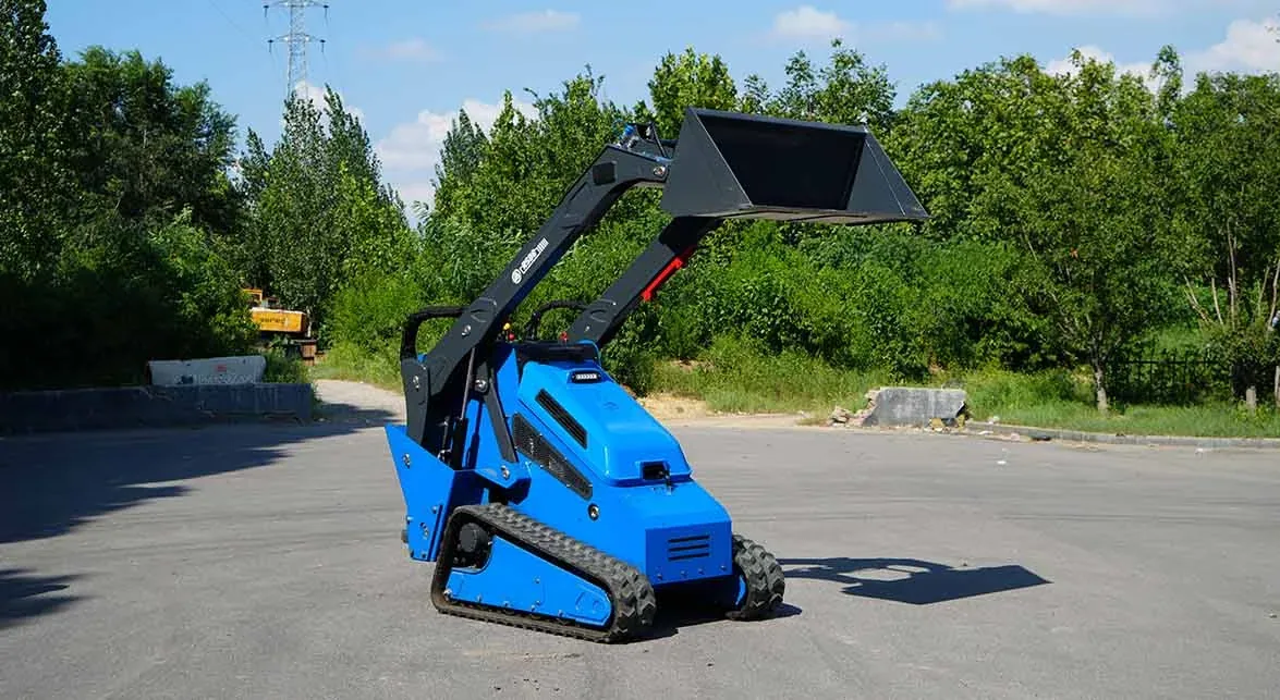Rippa RS06, vista y detalle 4